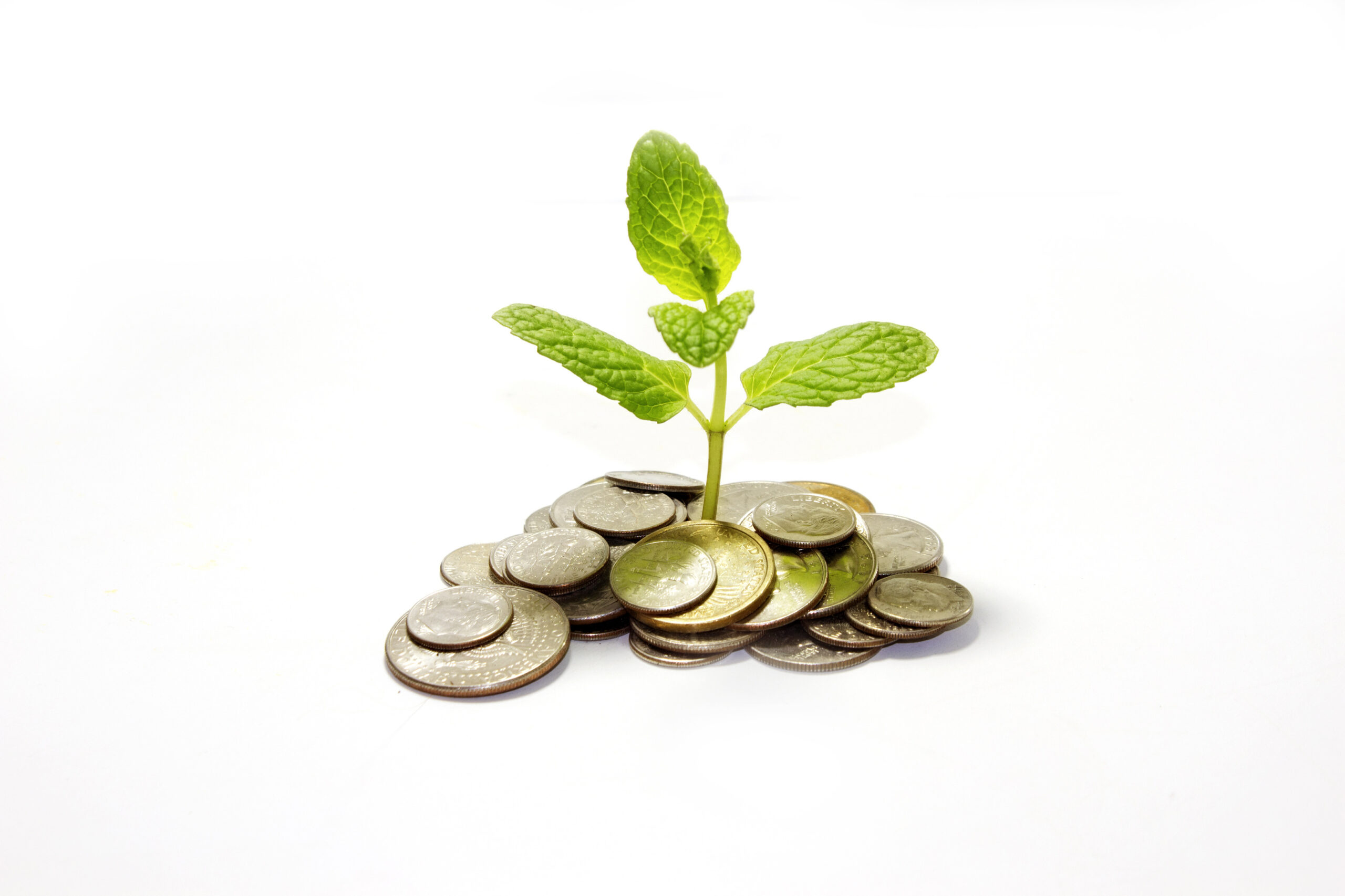 Wealth management companies grow wealth