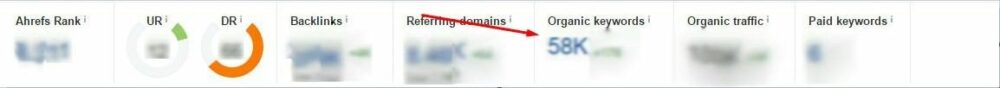 How to Tell if Your SEO Is Working: 5 Metrics That Prove SEO ROI