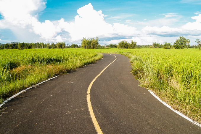 Road through a field