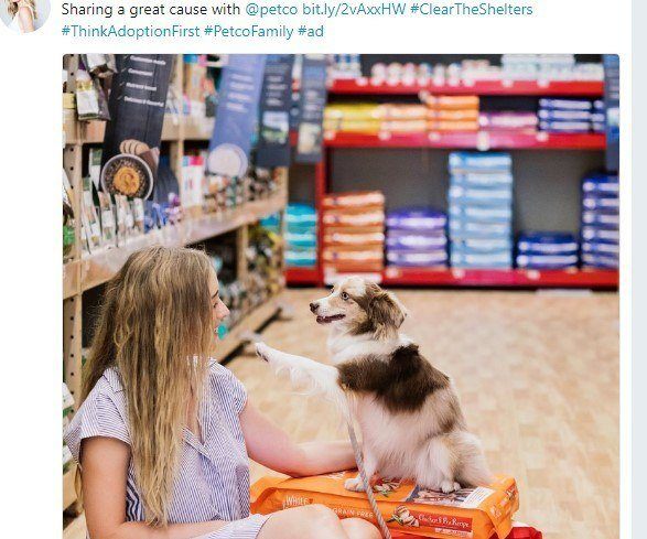 Petco social media post example