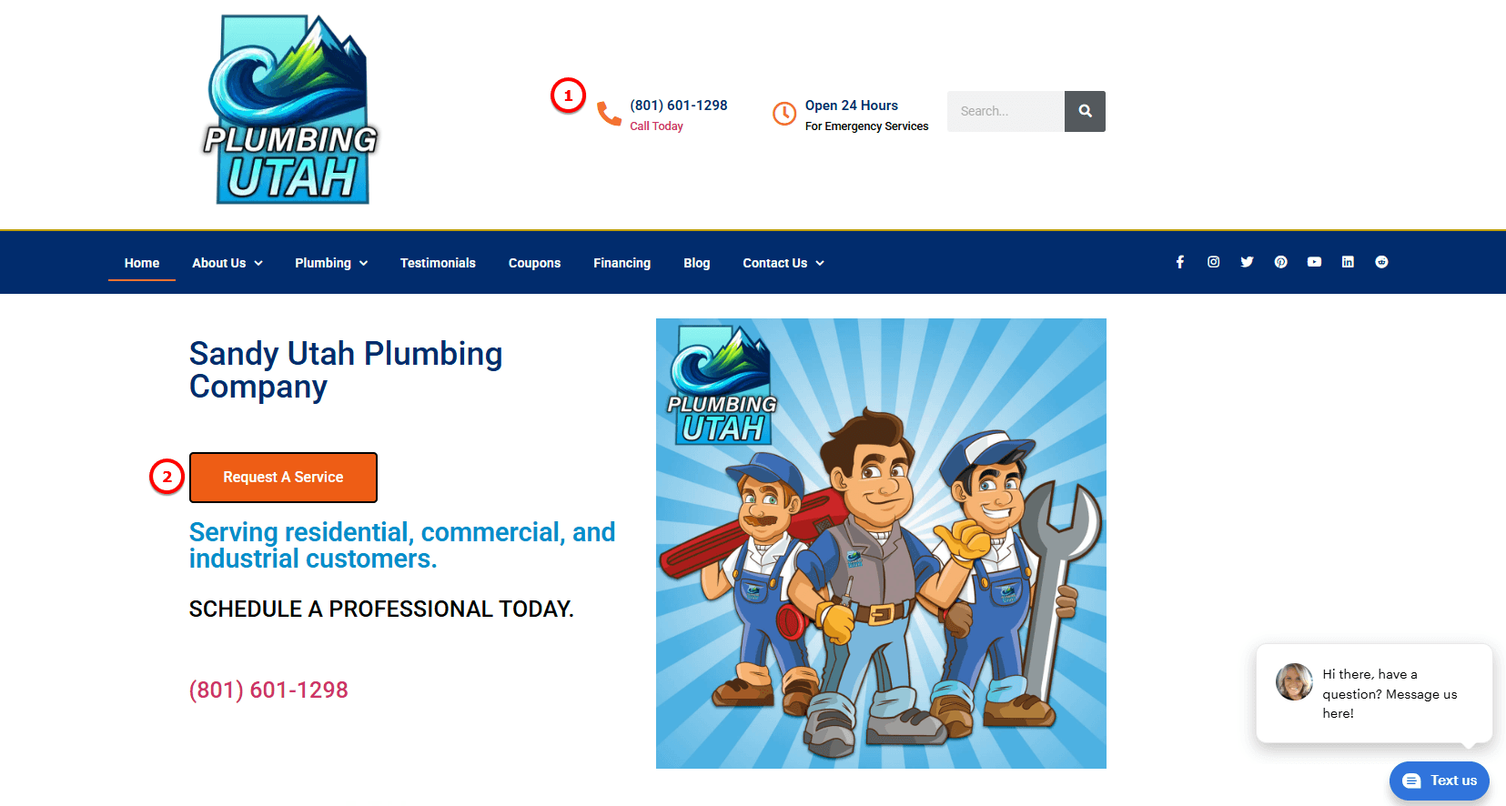 A plumbing website's homepage with clear calls to action and visible contact information.