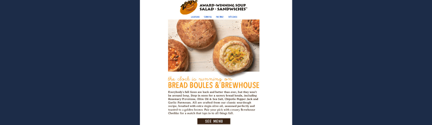 promotional email from Zoup!