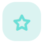 A light teal star icon centered on a pale circular background.