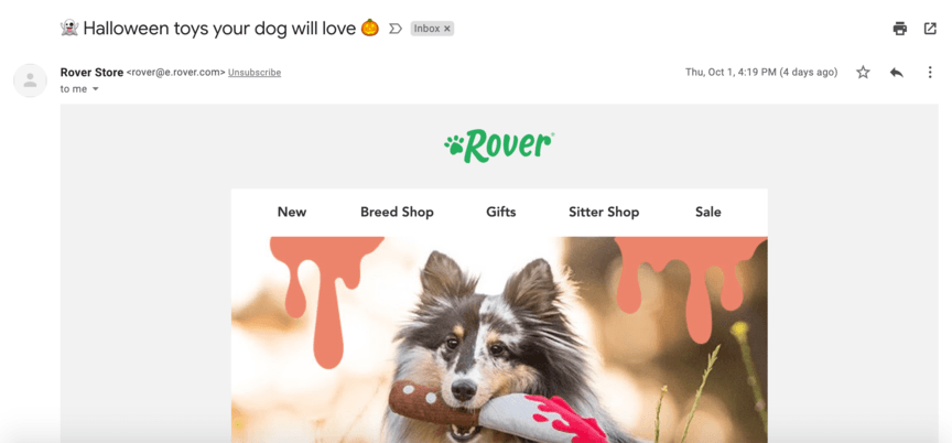 rover email marketing