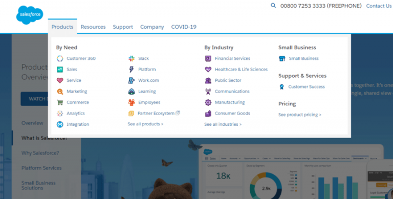 salesforce what is b2b web development example 1 768x389 1