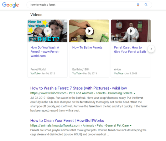 seo search results example using how to wash aferret