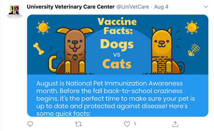 Veterinarian social media infographic example