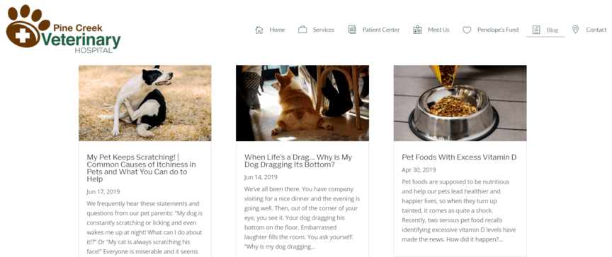 Veterinarian blog template example