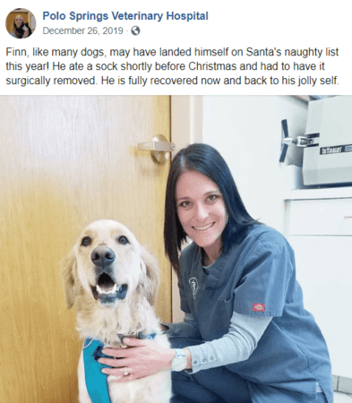 Veterinarian Facebook post example