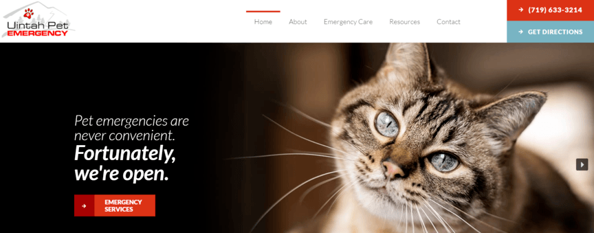 Veterinarian website design example