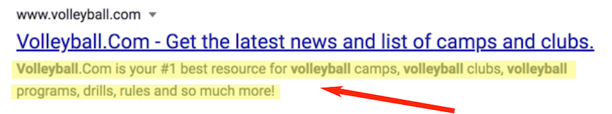 meta description example using volleyball