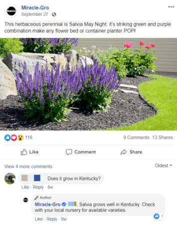 Miracle-Gro facebook marketing