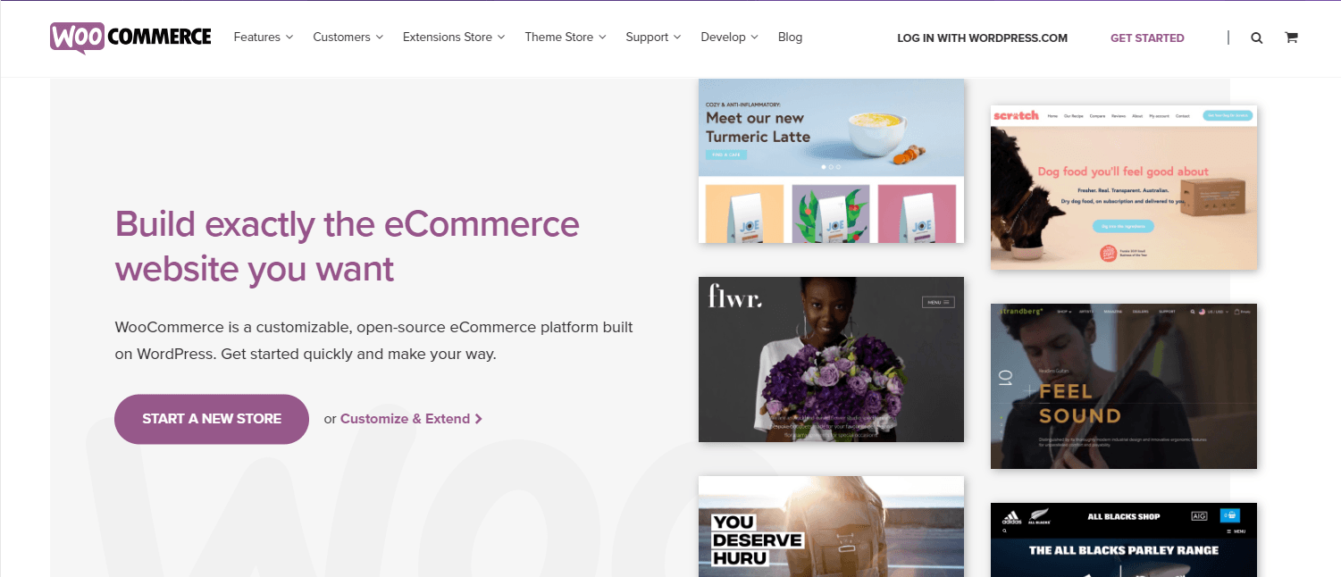 WooCommerce ecommerce snapshot