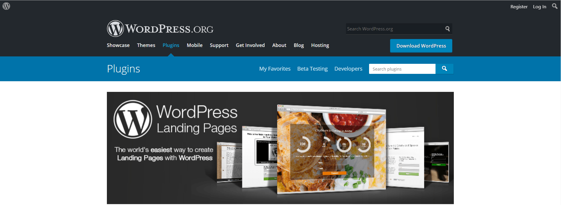 wordpress landing page