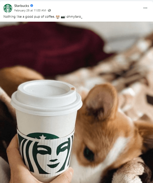 img starbucks social content