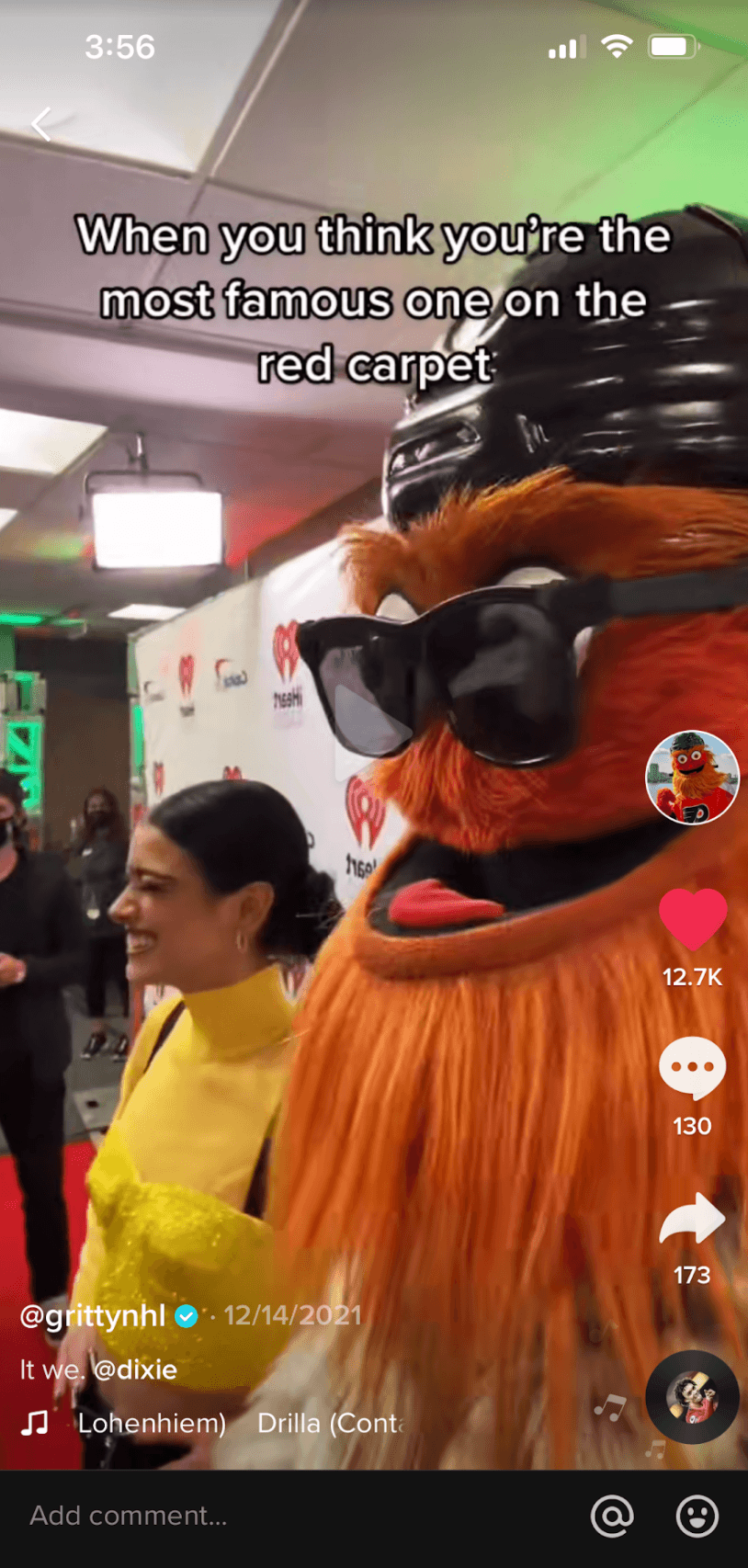 Gritty and Dixie TikTok screenshot