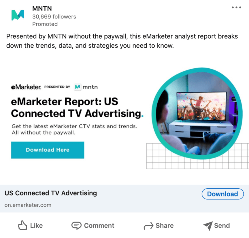 mntn linkedin ad