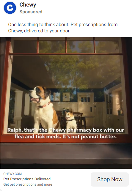 Dogs looking out the window in a Chewy ad