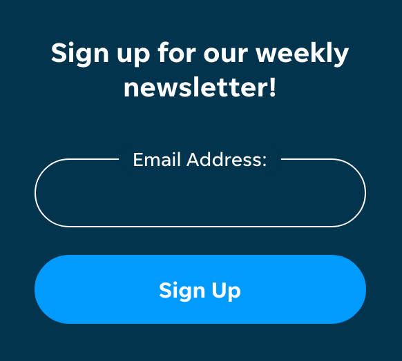 email newsletter signup