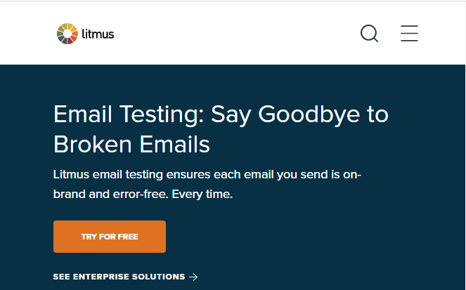 Homepage for Litmus email test