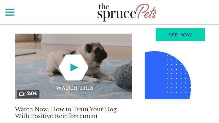 A dog video on a blog about training your dog