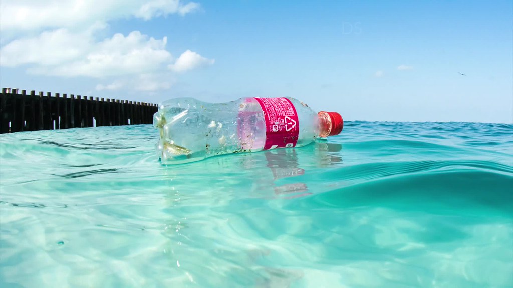 A discarded plastic bottle with a red cap floating in the clear blue ocean near a wooden pier under a blue sky with scattered clouds.