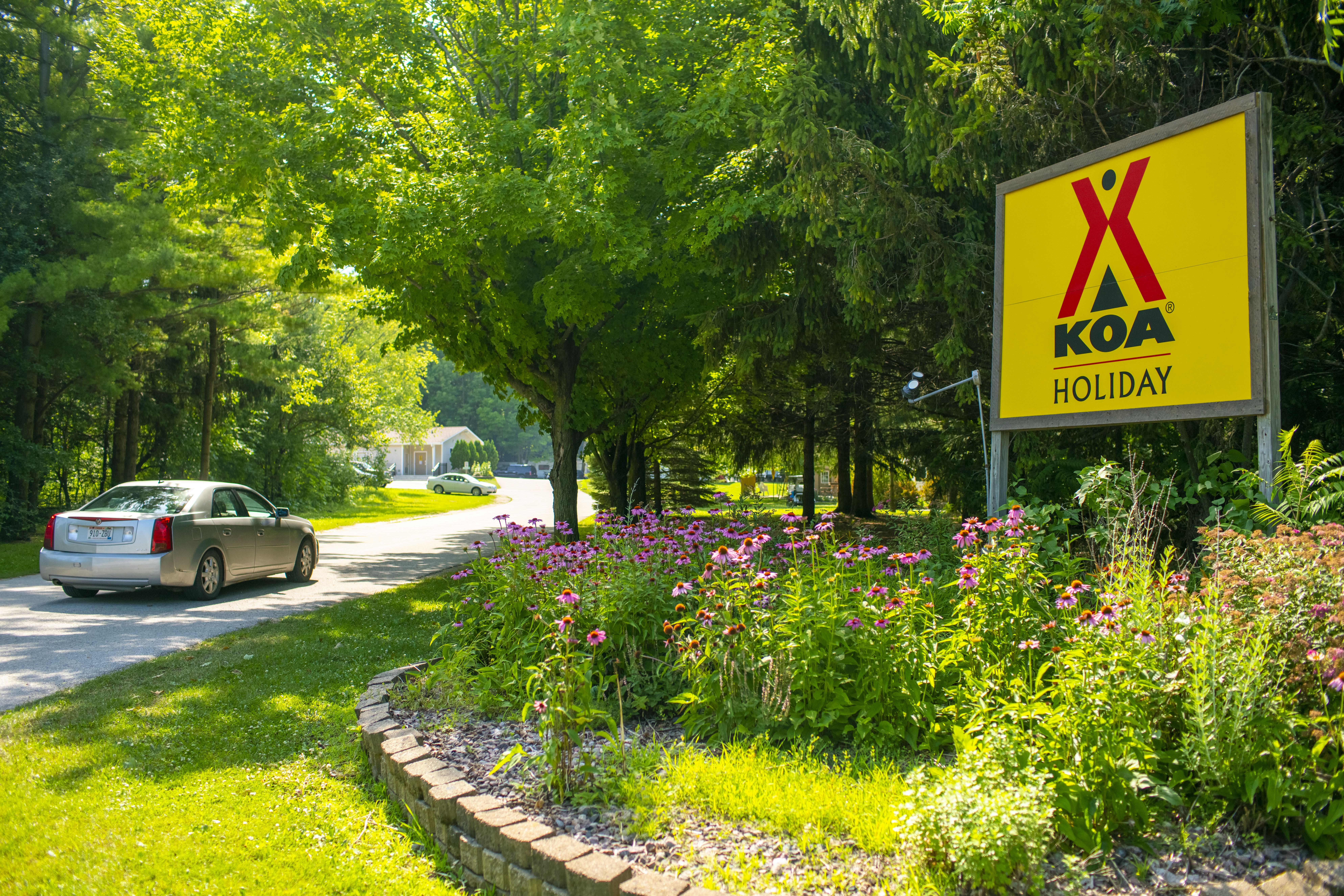 A sunny road with green trees, a KOA Holiday campground sign, a flowerbed with pink flowers, and a silver sedan driving on the road.