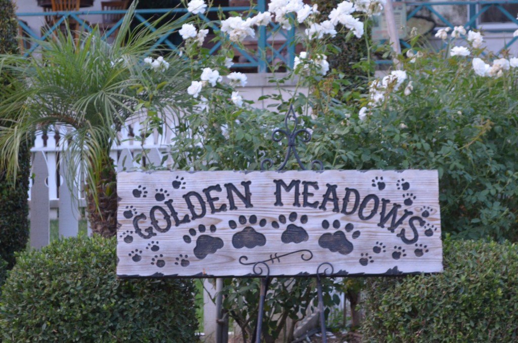 A rustic wooden sign reading 'GOLDEN MEADOWS' with black paw prints, mounted on a decorative metal stand, with white flowers and greenery in the background.