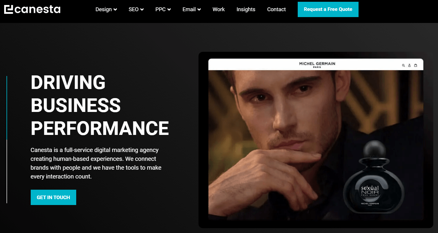 Canesta website homepage