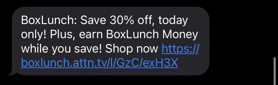 SMS promotion for Box Lunch's 30% off flash sale