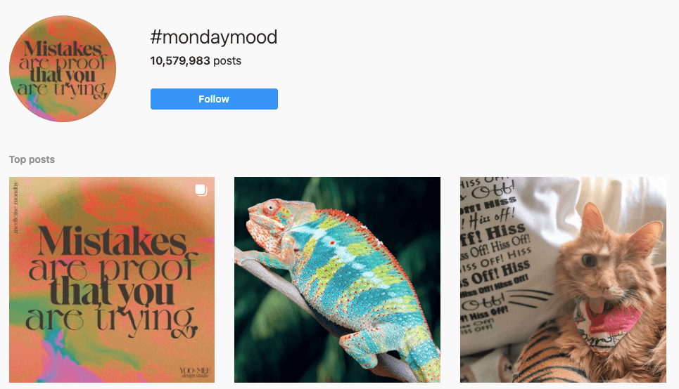 Pictures that show up when someone searches #mondaymood