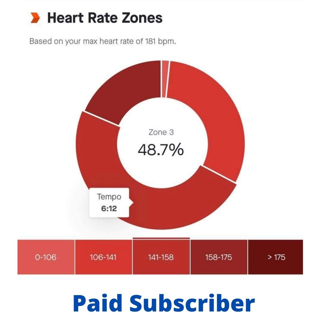 Persona segmentation paid subscriber