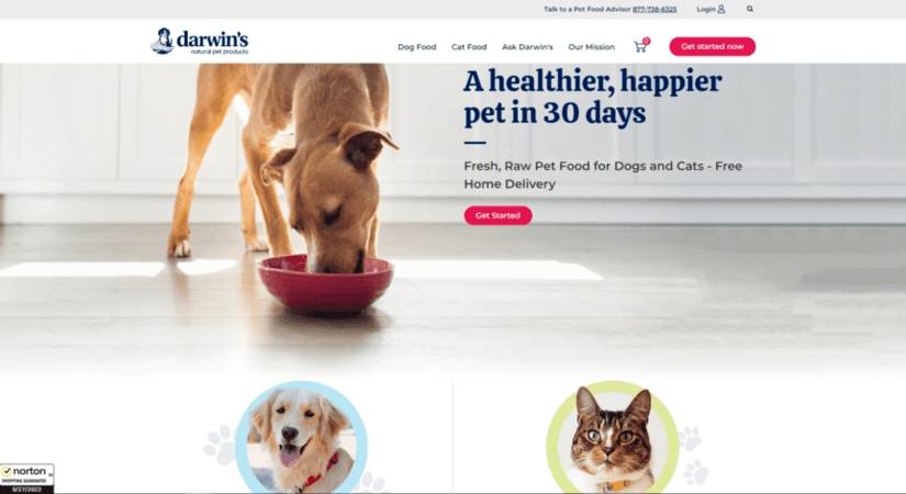 Pet product web design: Darwins