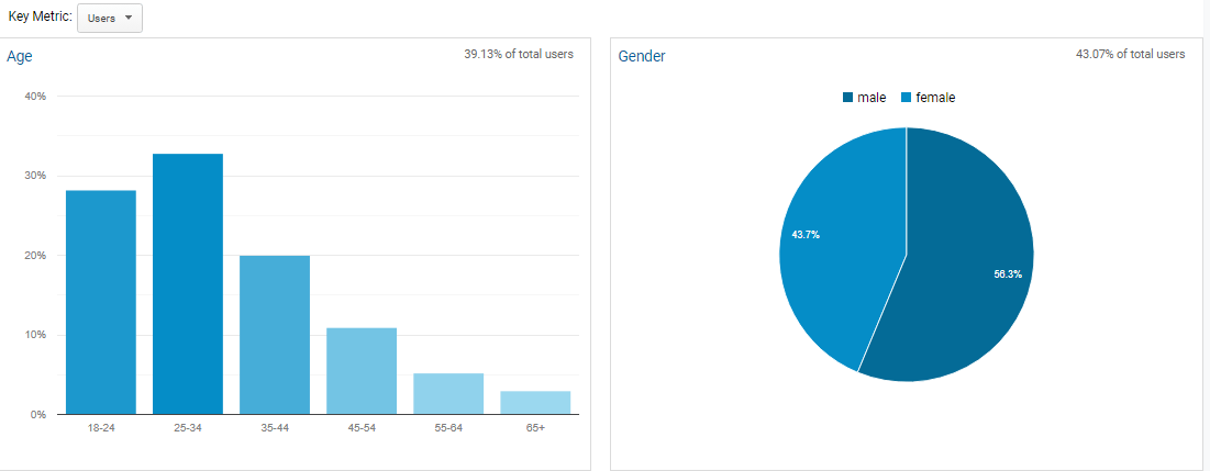 demographics google analytics glossary