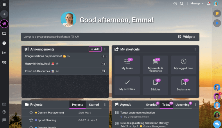 ProofHub platform
