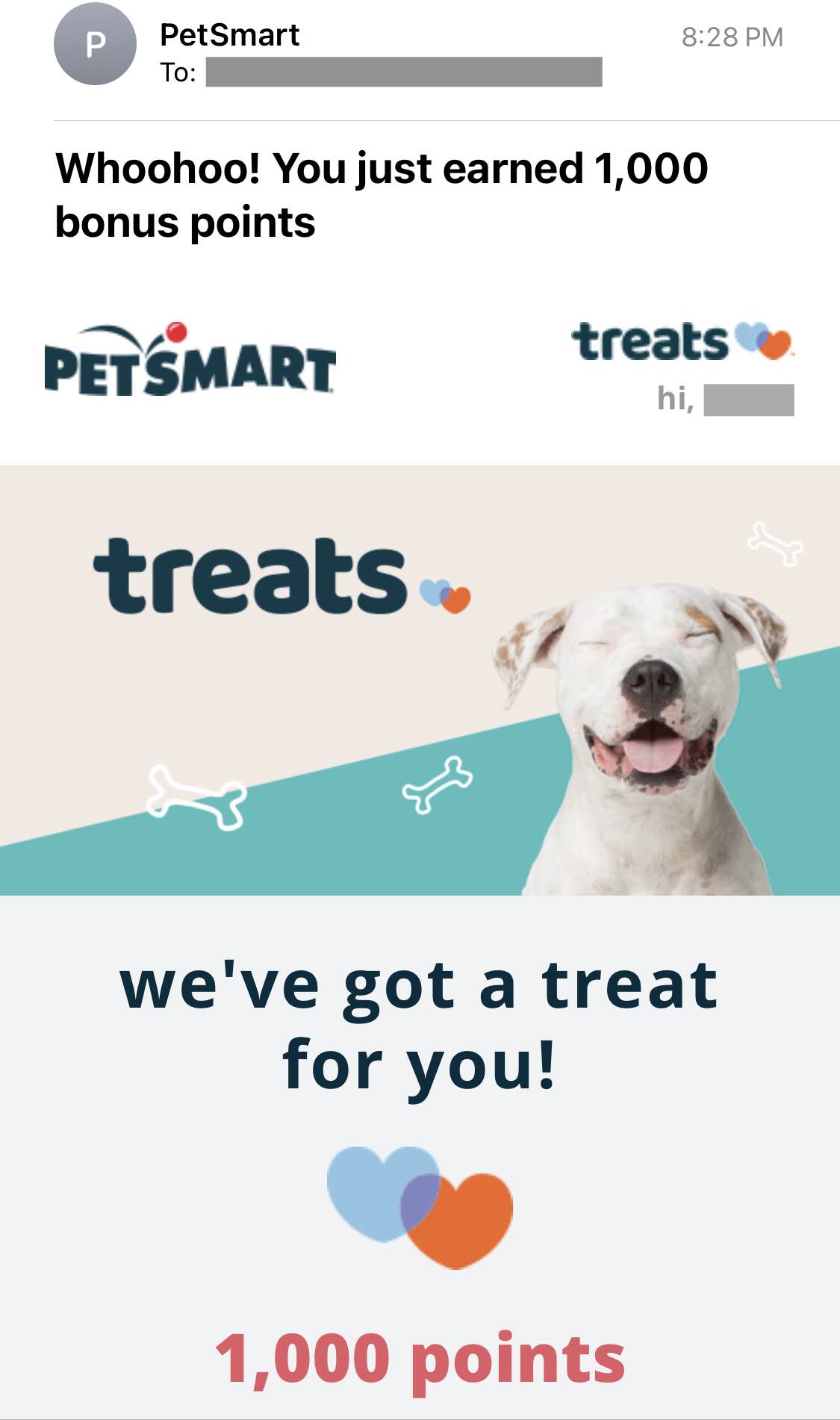 petsmart email marketing example