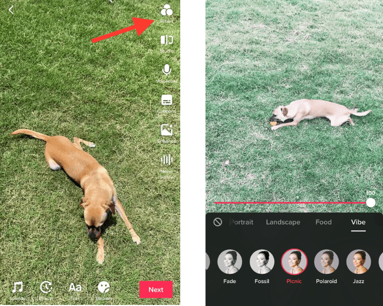 How to add filters to TikTok video