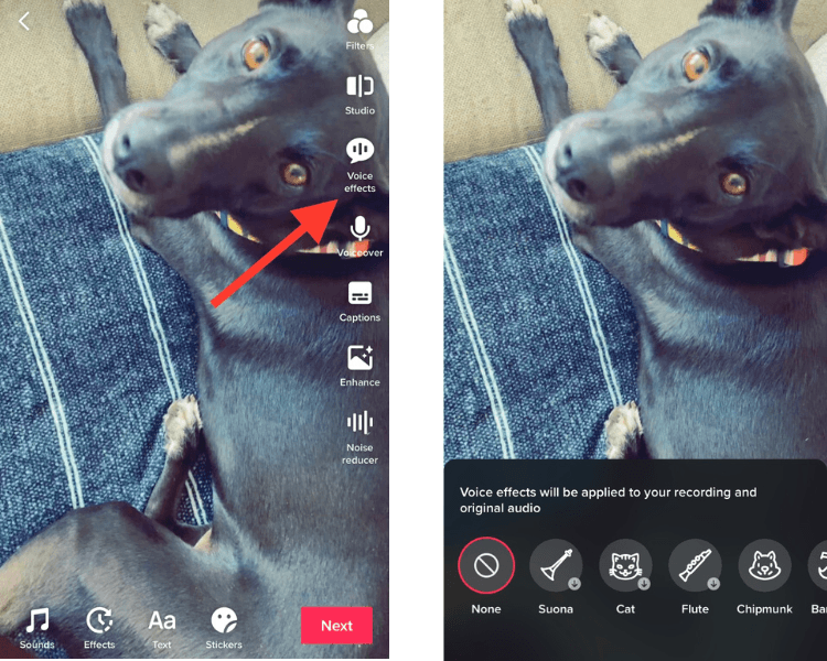 How to add voice effects on TikTok