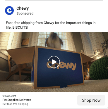 Chewy ad with a dog digging through their box and promoting their delivery service