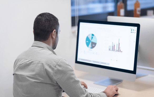 A person from behind viewing a computer screen displaying a pie chart and bar graph.