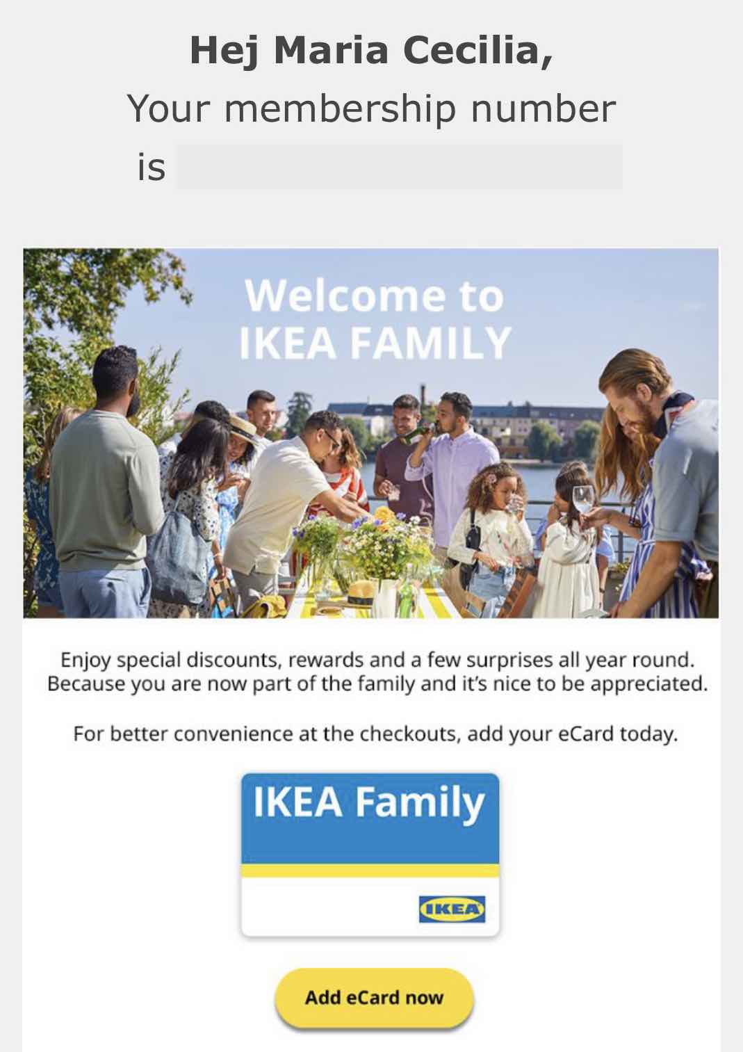 Ikea's loyalty program