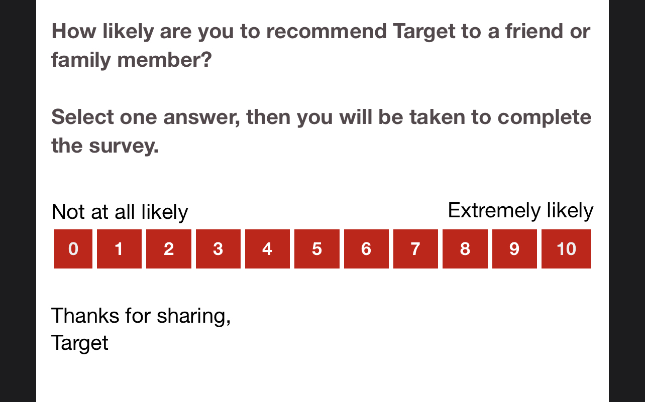 target customer survey