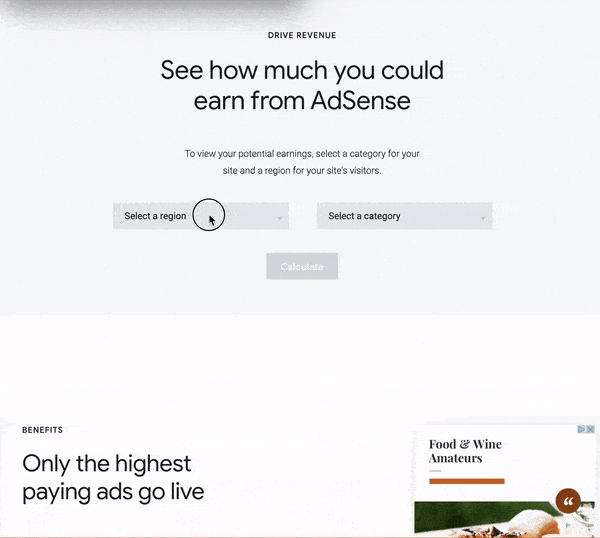 Estimate your AdSense profit