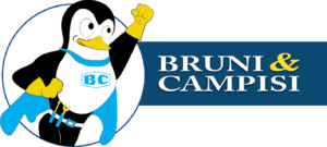 Bruni and Campisi Plumbing logo