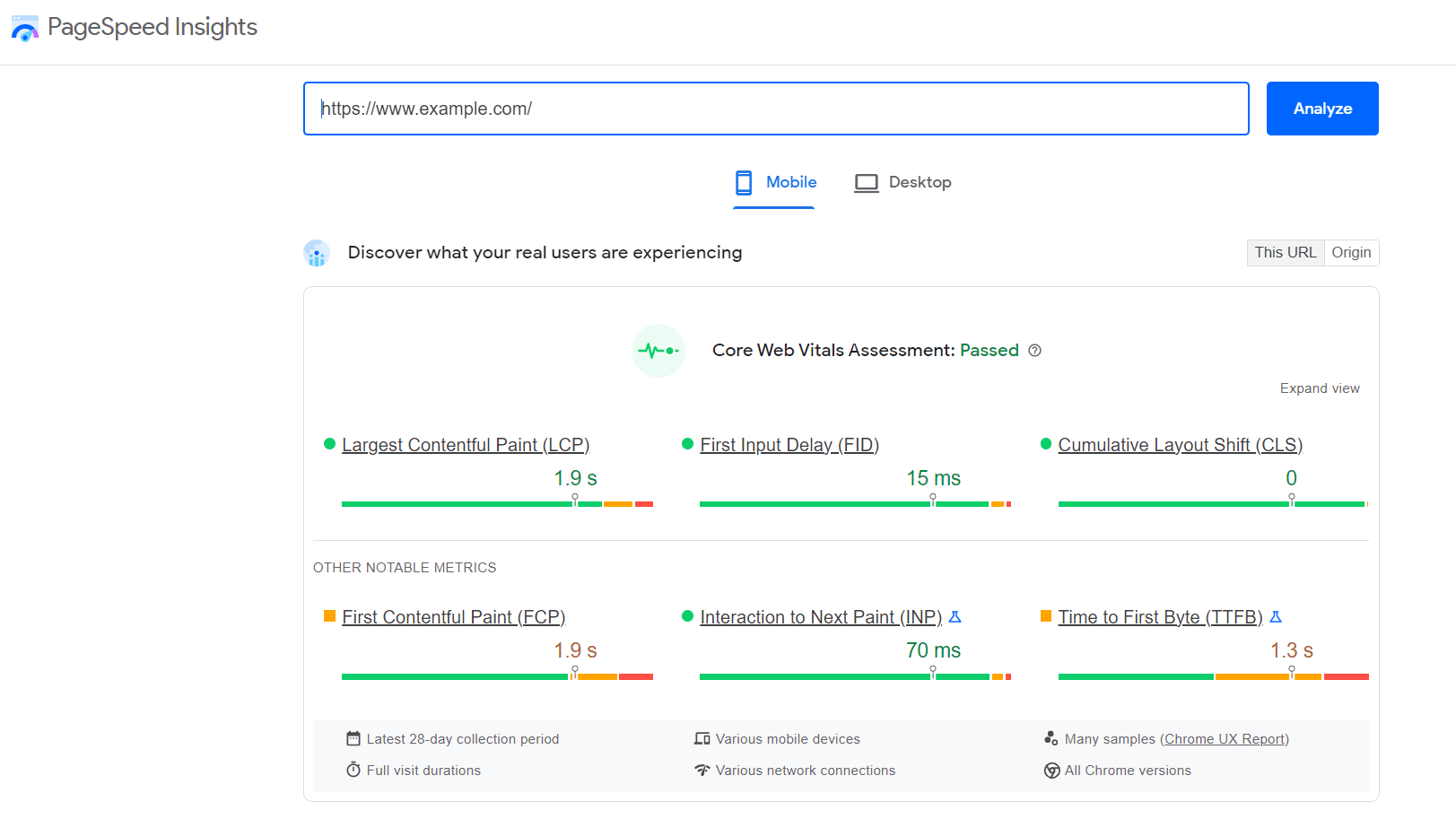 Googles PageSpeed Insights example