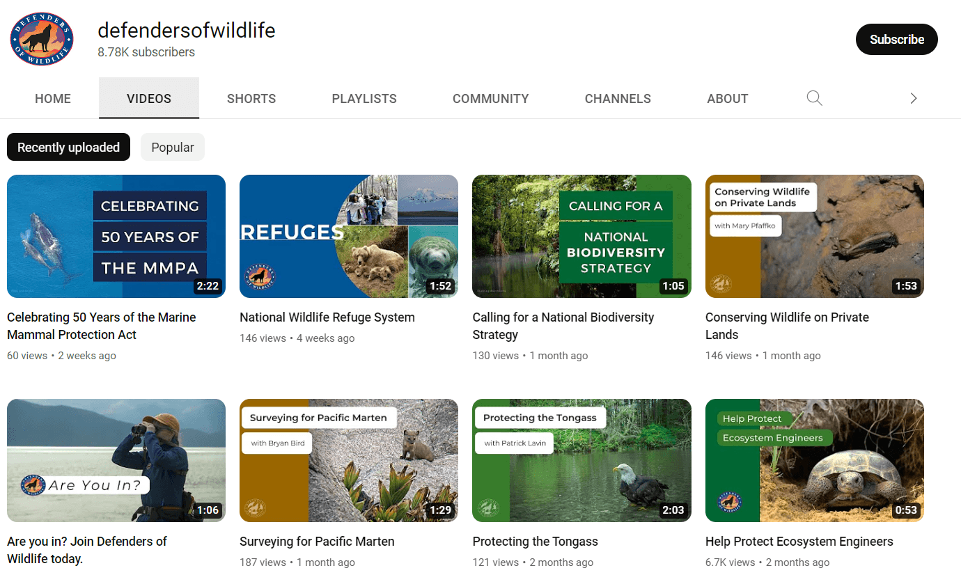 screenshot of the defenders of wildlife youtube channel