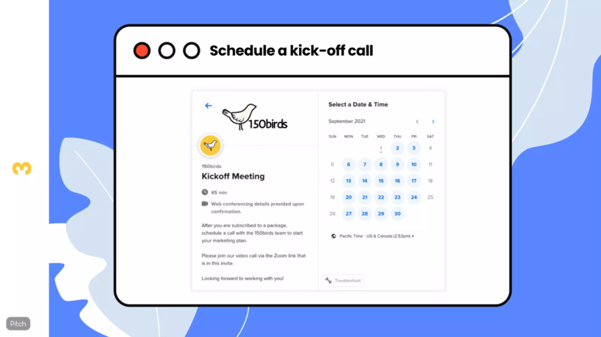 sales pitch deck 150 birds