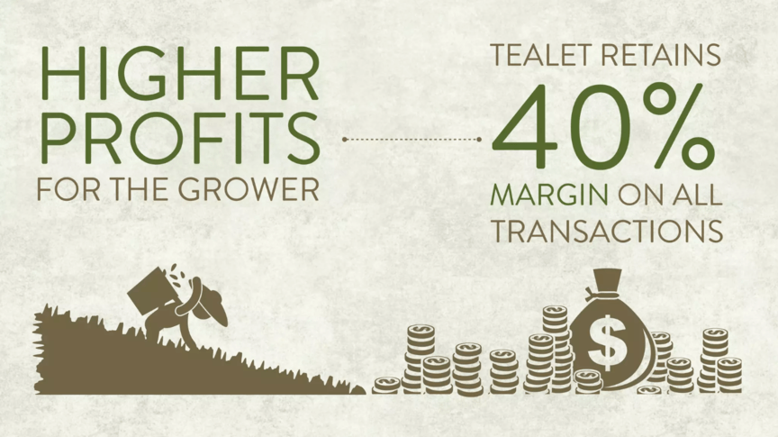 sales pitch deck tealet