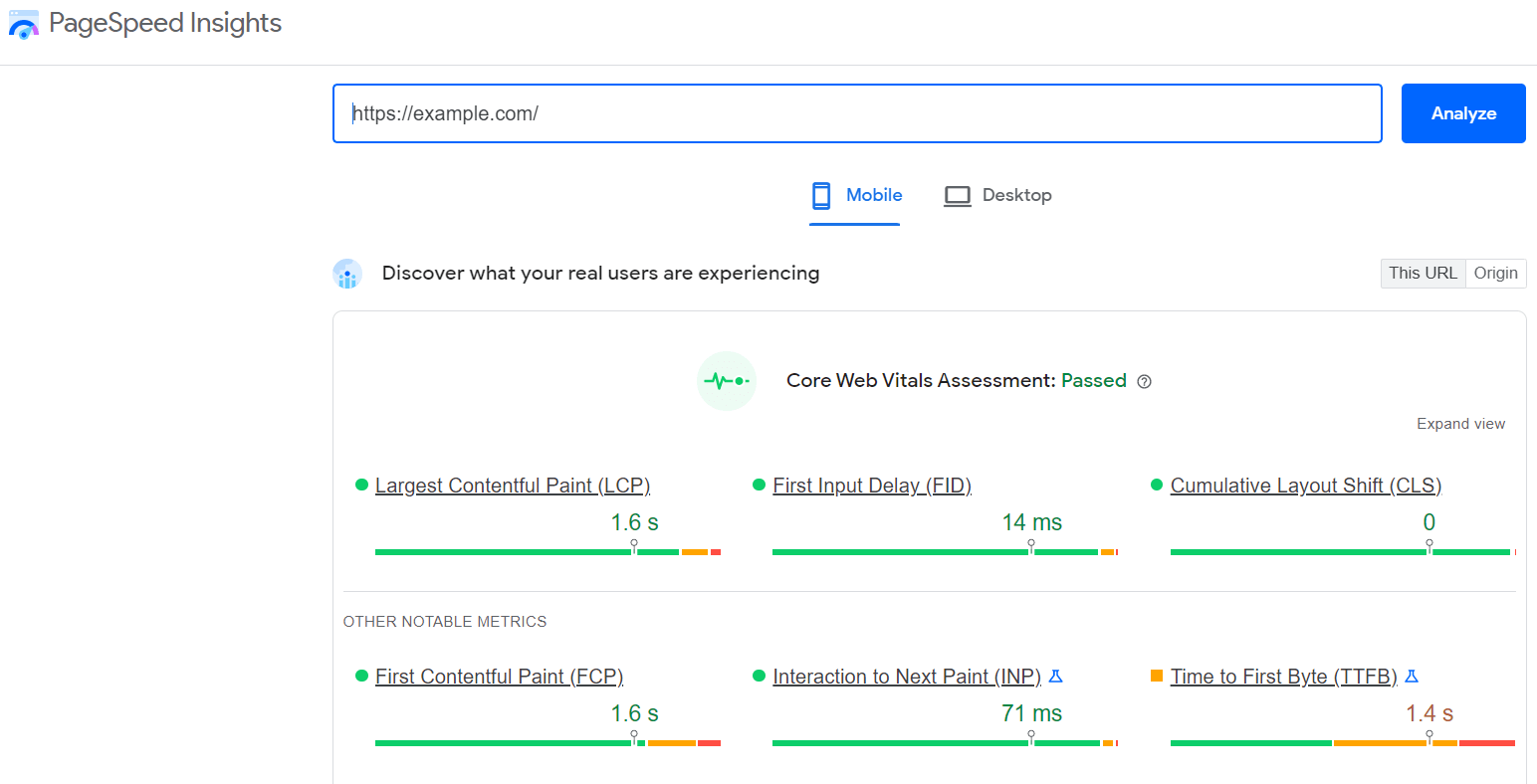 google pagespeed insights screenshot