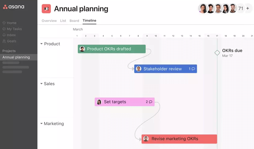 Asana project management software